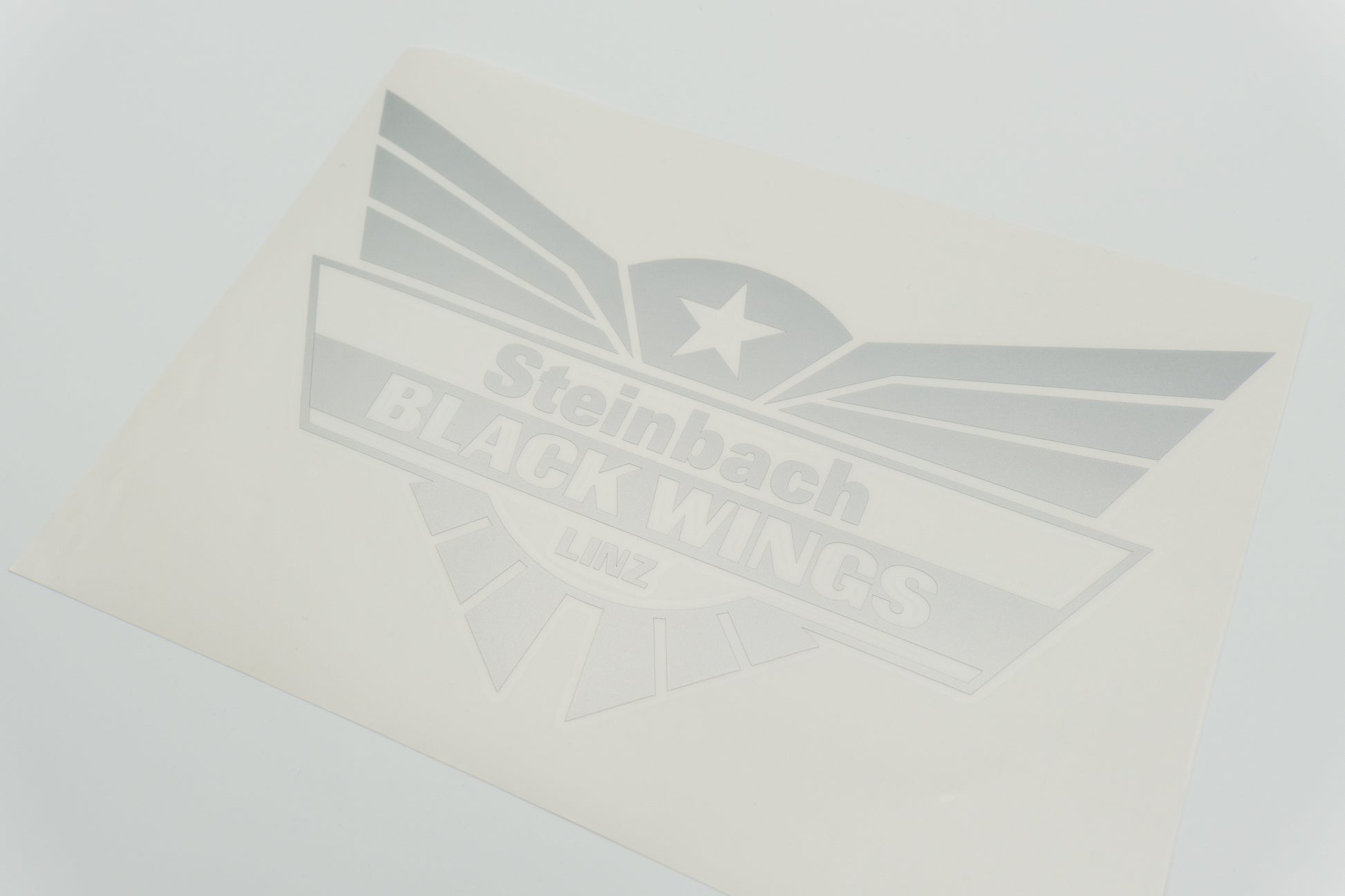 Black Wings Plot Logo Classic