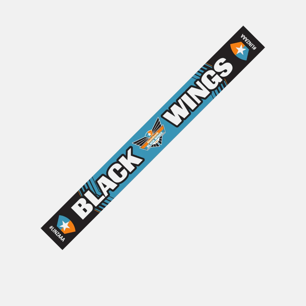 BLACK WINGS Seidenschal LINZAAA 2025_2026